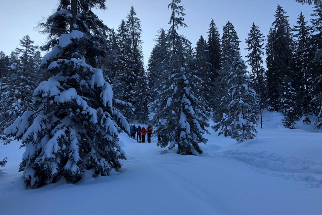 Zoom: Schneeschuhtouren Oberiberg - Einsiedeln