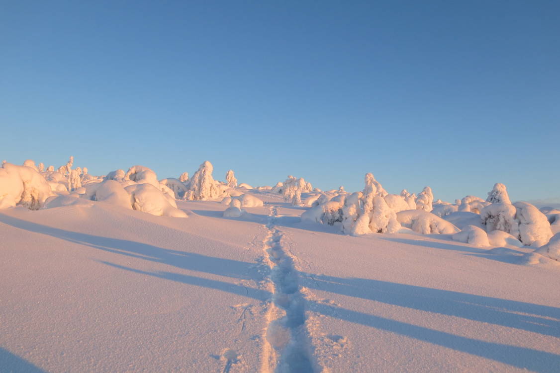 Zoom: Schneeschuhtouren Finnisch Lappland Pallas Tunturi Nationalpark