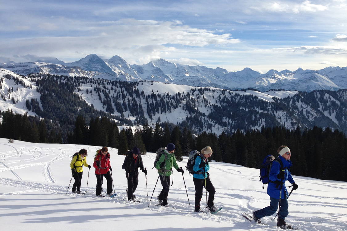 Zoom: Schneeschuhtouren Berner Oberland