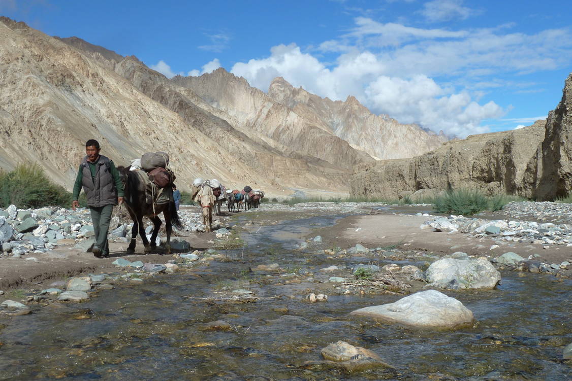 Zoom: Ladakh Markha Trekkingreise