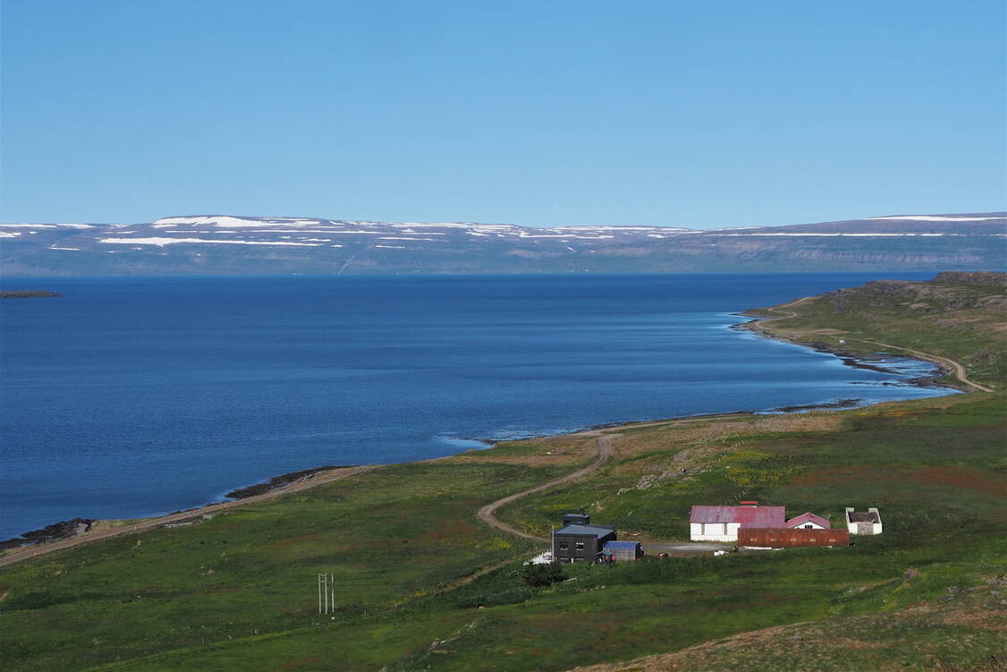 Zoom: Island Wanderreise Westfjorde