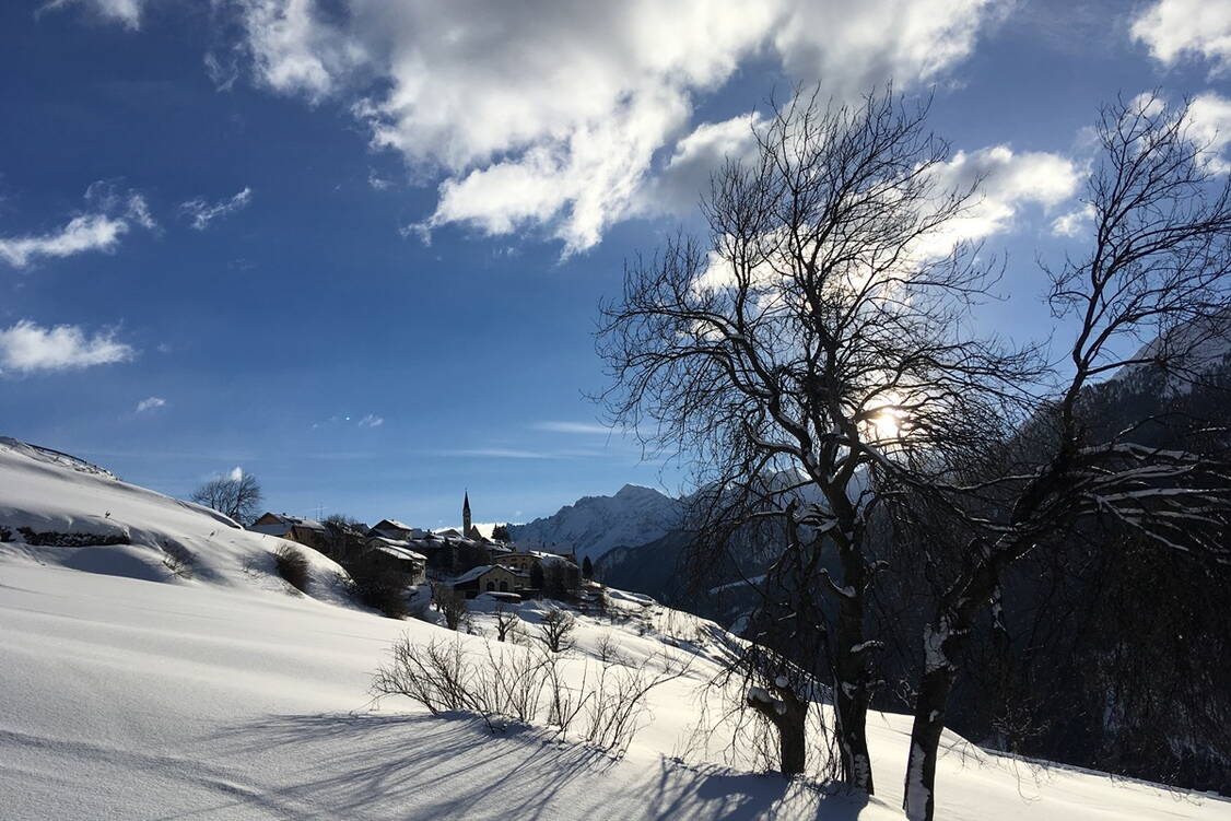 Zoom: Schneeschuhtouren Unterengadin Val Tuoi