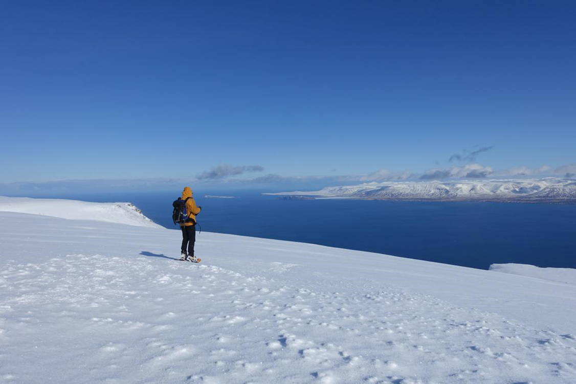 Zoom: Island Schneeschuhtouren