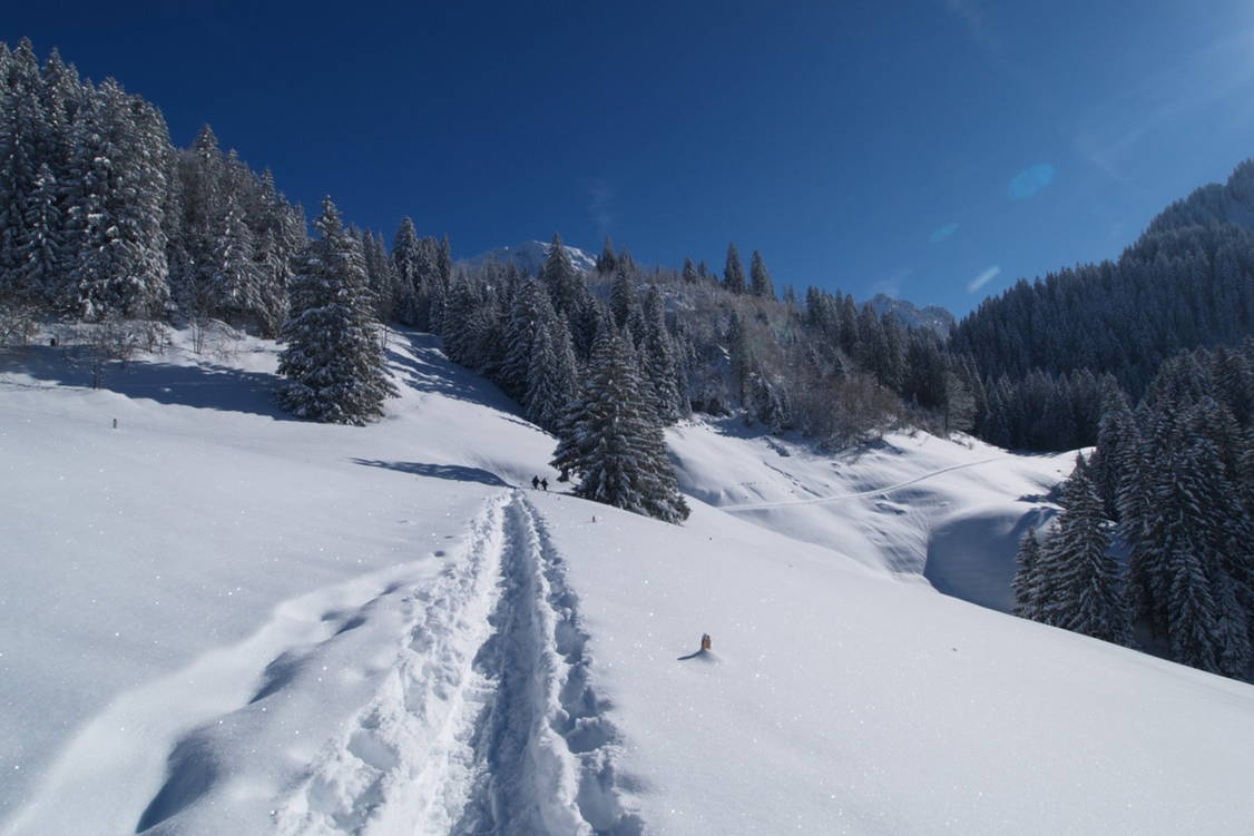 Zoom: Schneeschuhtouren Schwarzsee