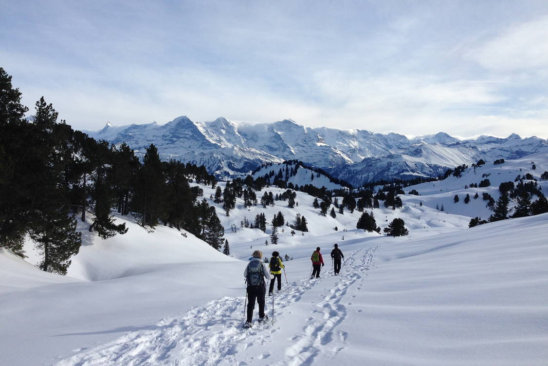 Zoom: Schneeschuhtouren Berner Oberland