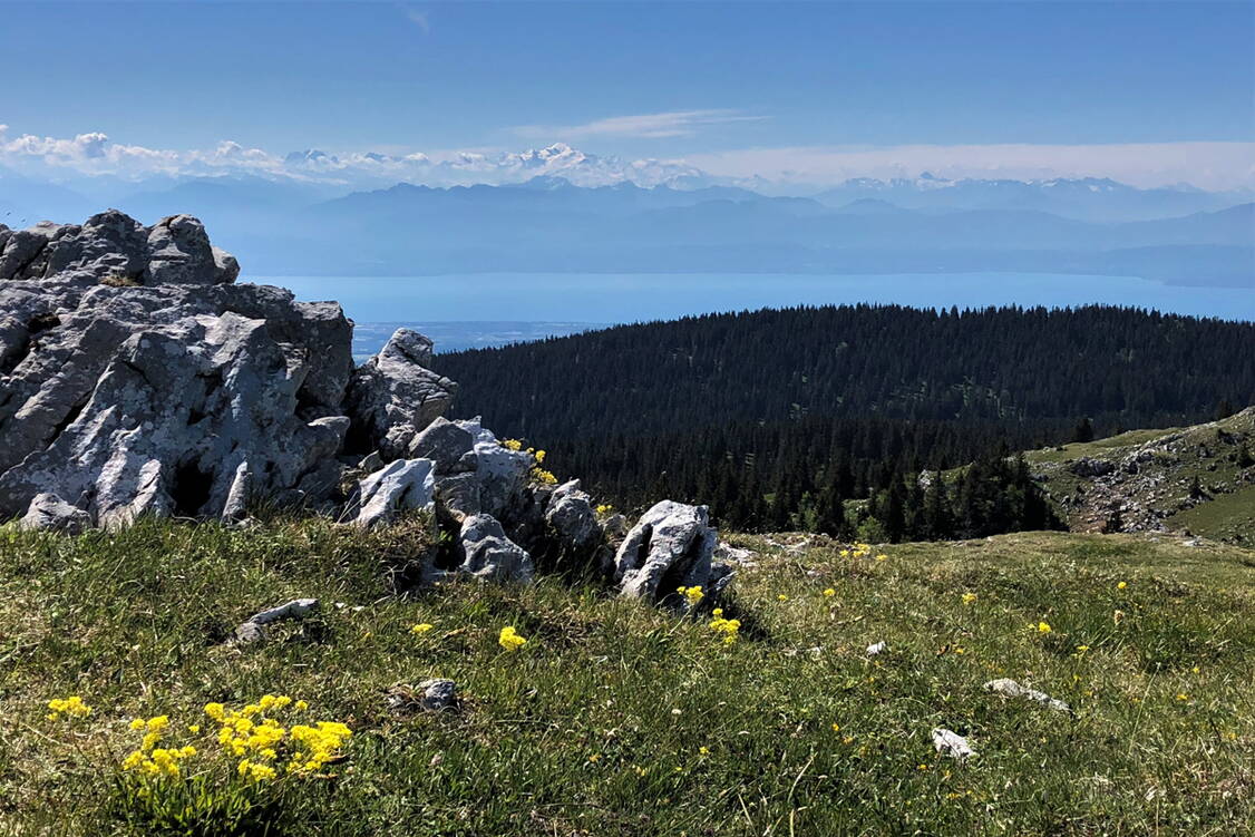 Zoom: Panorama-Weitwanderung Jura II Mont Blanc vom Mont Tendre aus