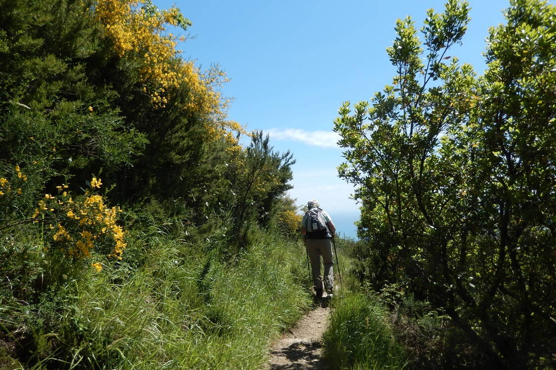 Zoom: Wanderreise Cinque Terre