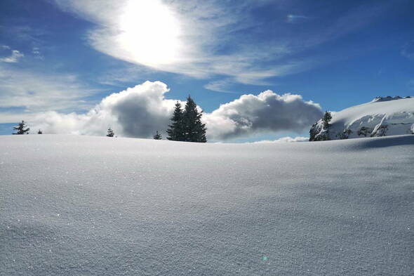 Schneeschuhtouren Balcon du Jura