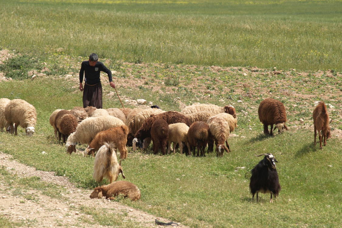 Zoom: Iran Wanderreise