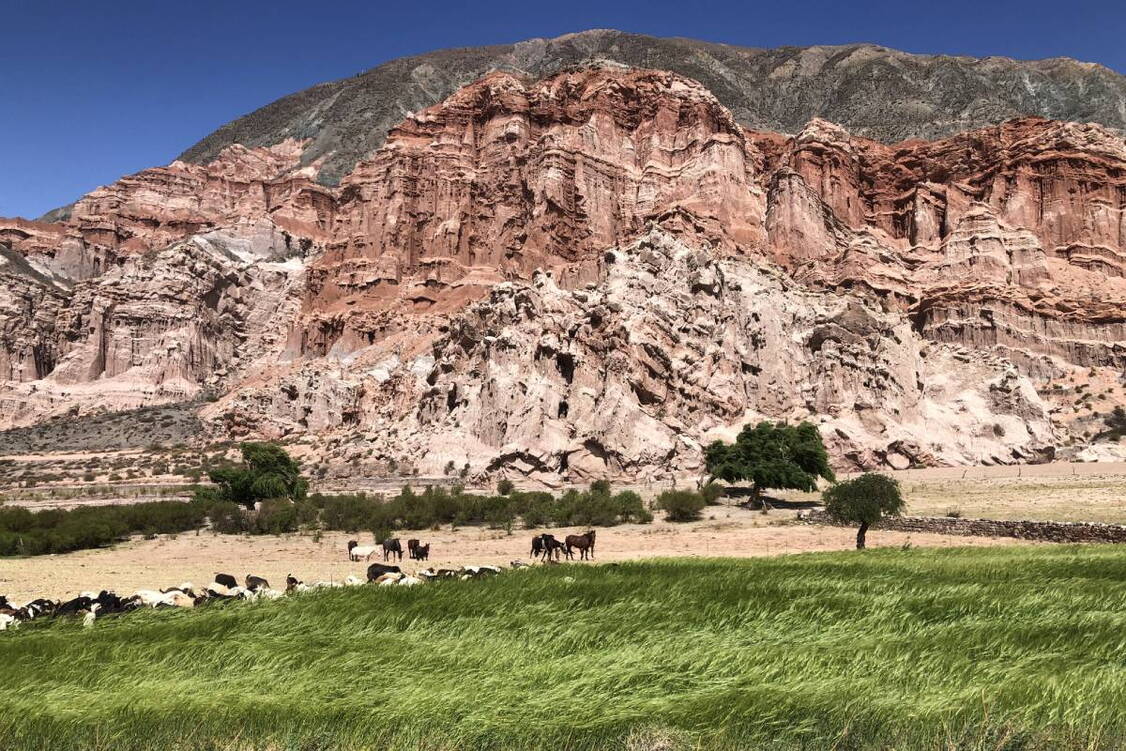 Zoom: Wander- und Erlebnisreise Nord-Argentinien