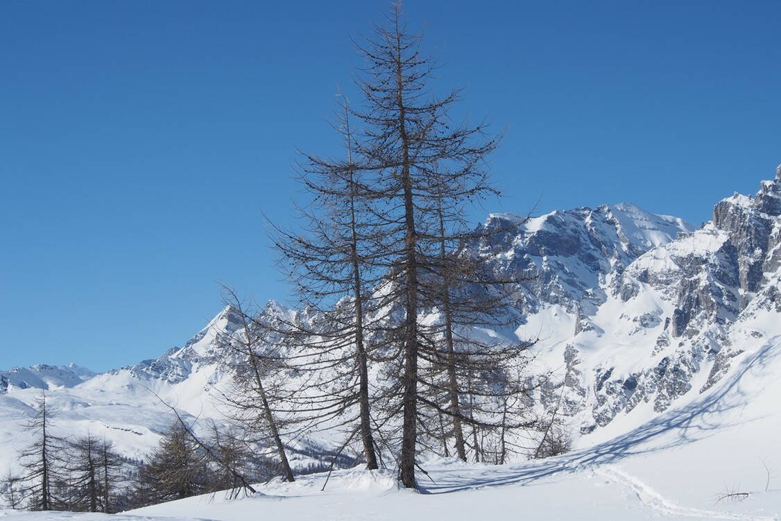 Zoom: Schneeschuh-Wandern Alpe Devero