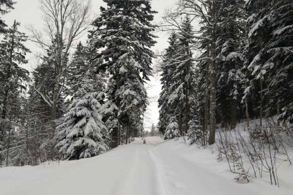 Schneeschuhtouren Jura Haute Route II