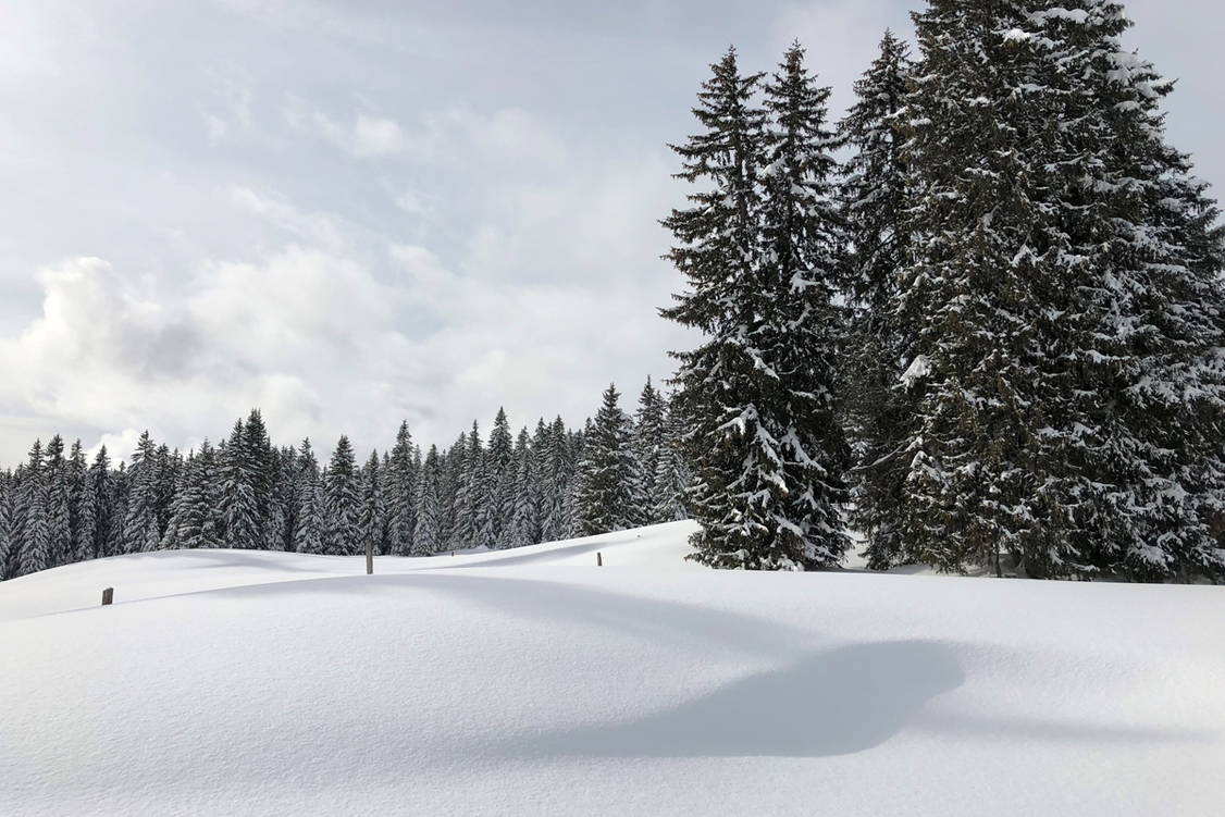 Zoom: Schneeschuhtouren Jura Haute Route II