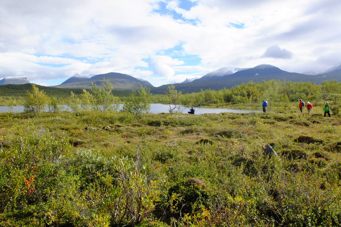 Zoom: Wanderreise Schwedisch Lappland