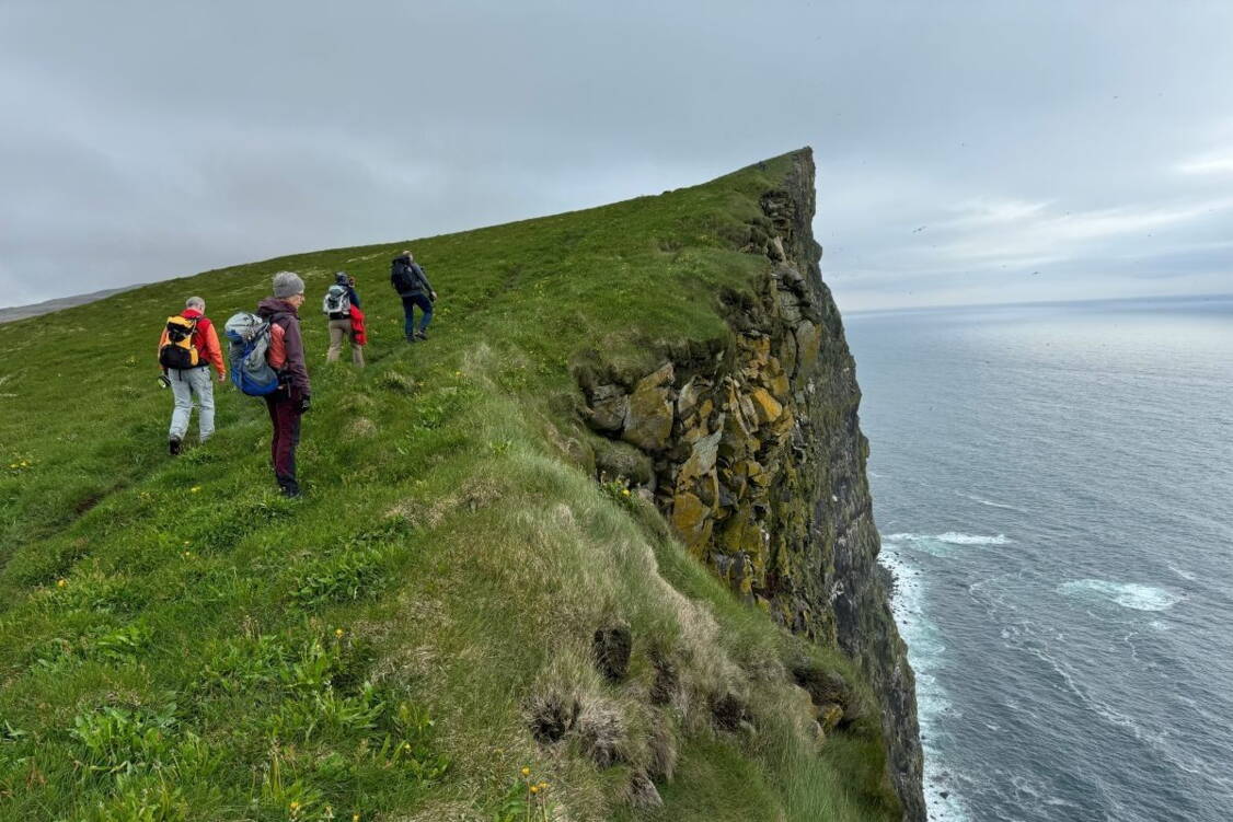 Zoom: Island Wanderreise Westfjorde