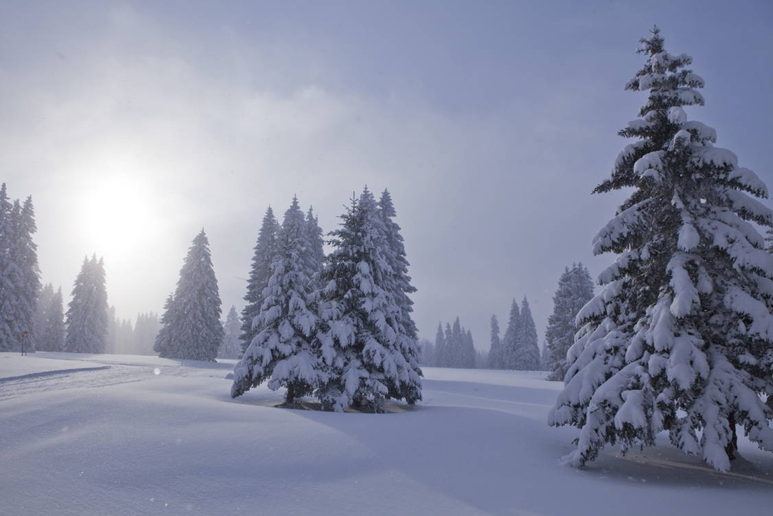 Zoom: Schneeschuhtouren Jura Haute Route I