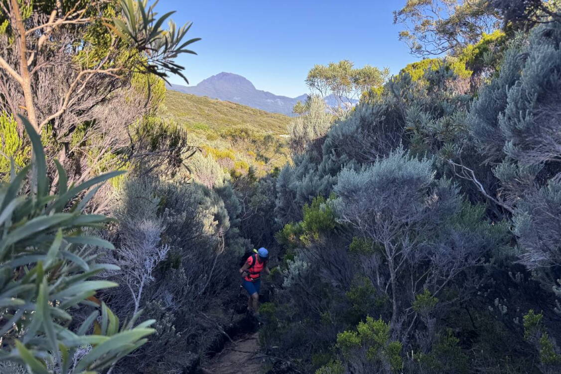 Zoom: Wanderreise La Réunion