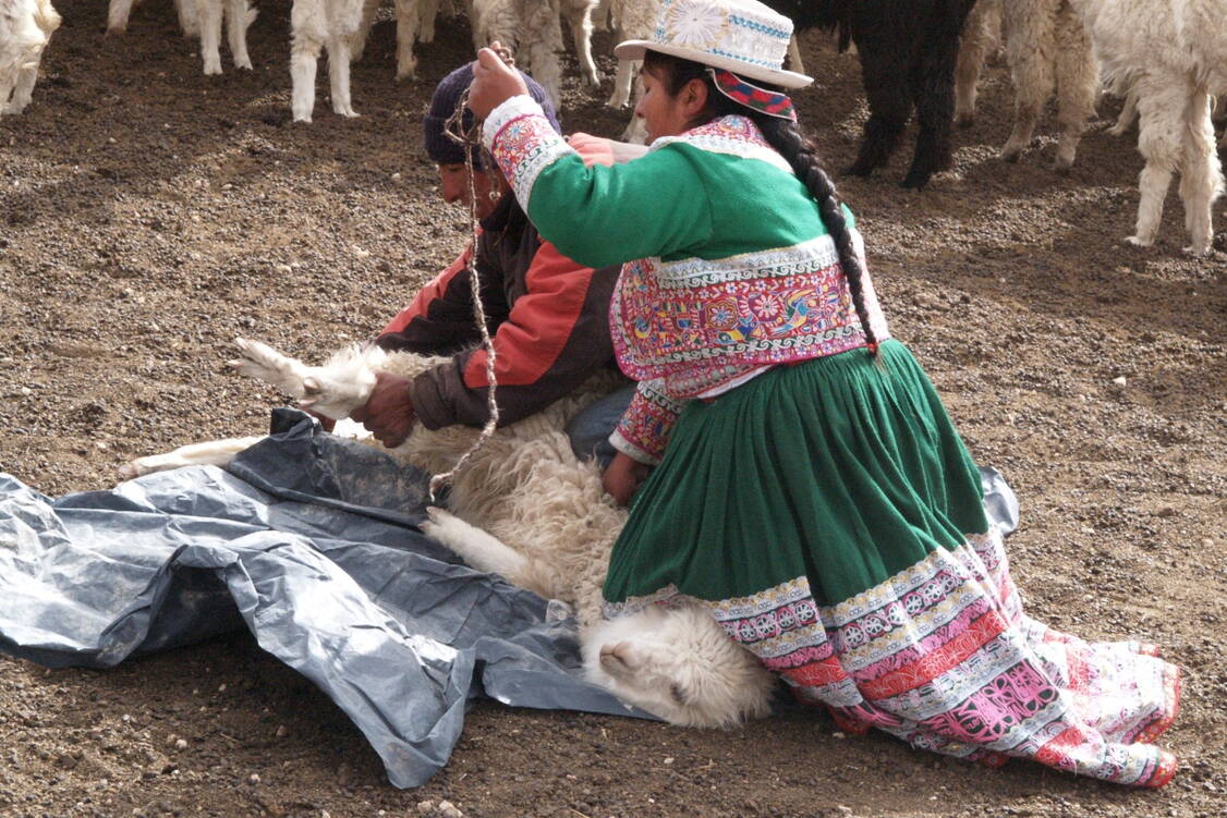 Zoom: Peru Kulturwanderreise