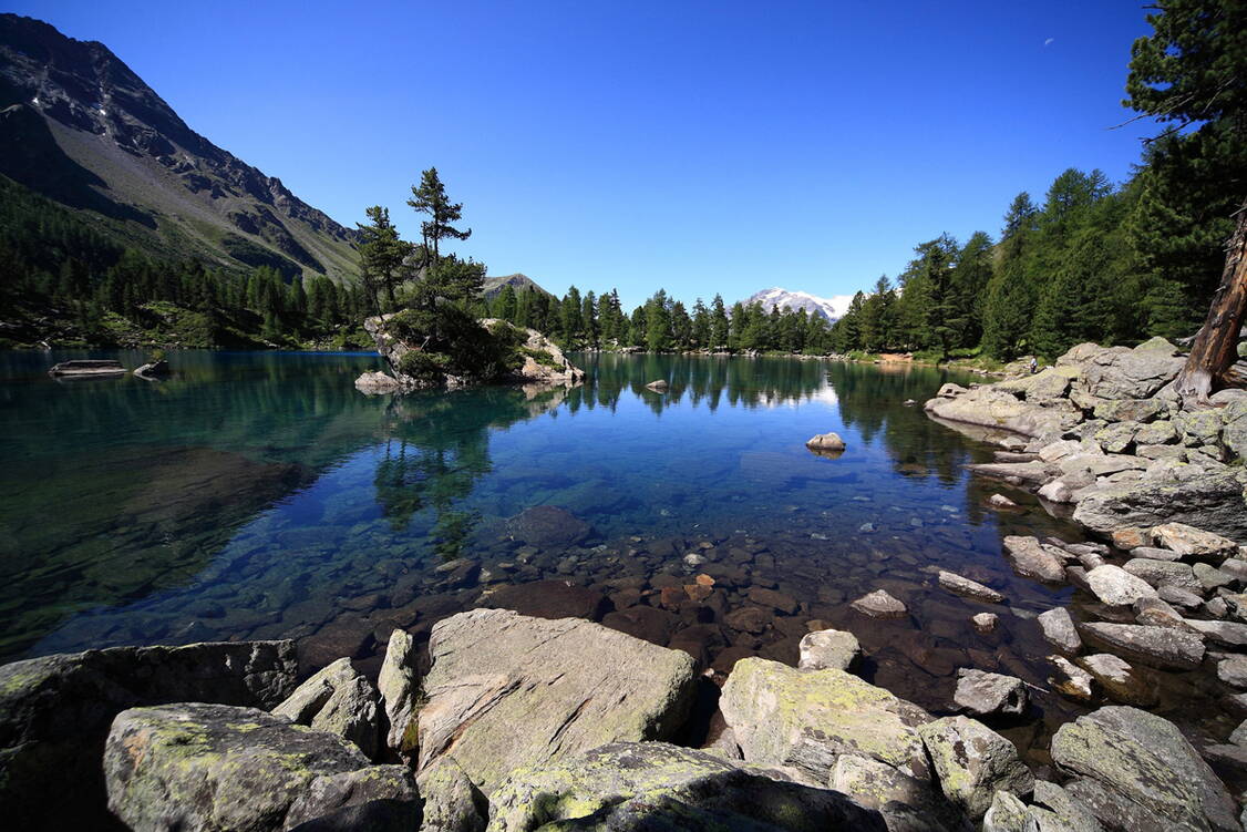 Zoom: panorama_weitwanderung_bernina_5.jpg