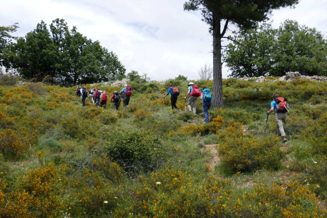 Zoom: Korsika Wanderreise mit mittelschweren Wanderungen