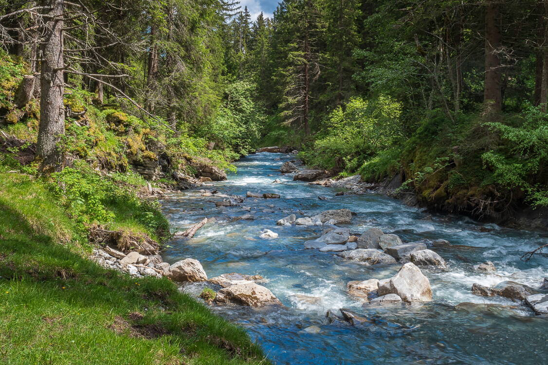 Zoom: Wasserwege und Schluchten am Rhein - erholen