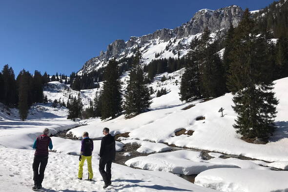 Zoom: Büro-Team von berg-welt auf Schneeschuhen im Diemtigtal