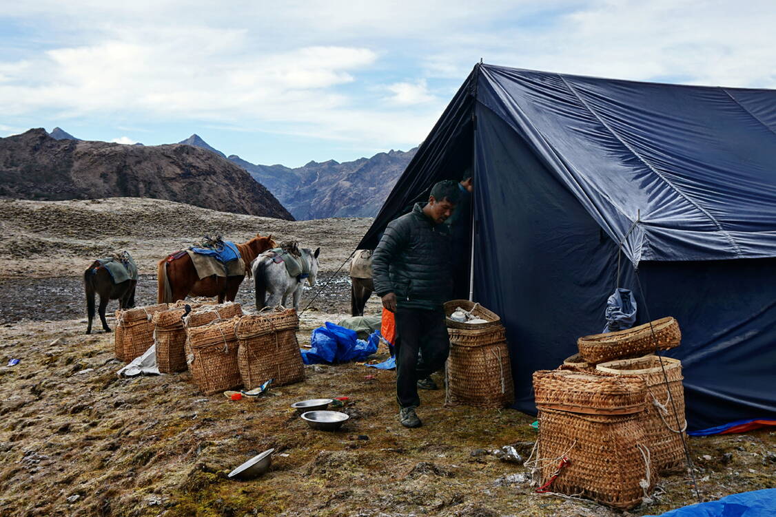 Zoom: Trekkingreise Bhutan