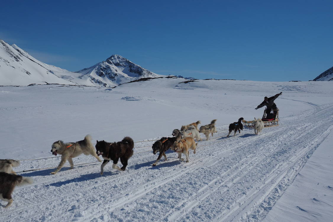 Zoom: Grönland Ski-Expedition Haute Route