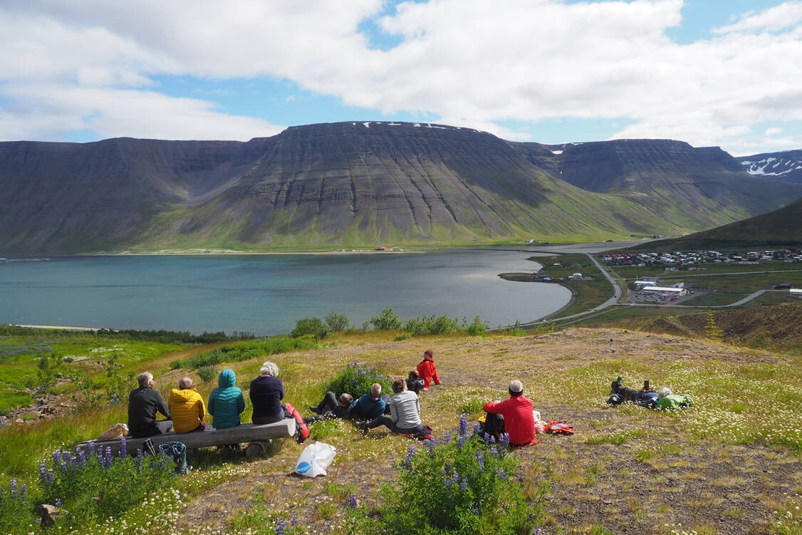 Zoom: Island Wanderreise Westfjorde