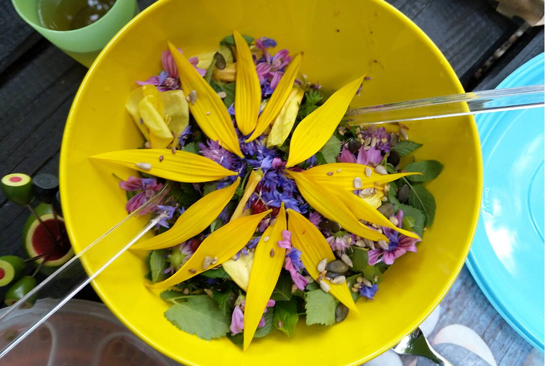 Zoom: Wilde Kräuter im wildern Emmental - Wildkräuter Blumen Salat