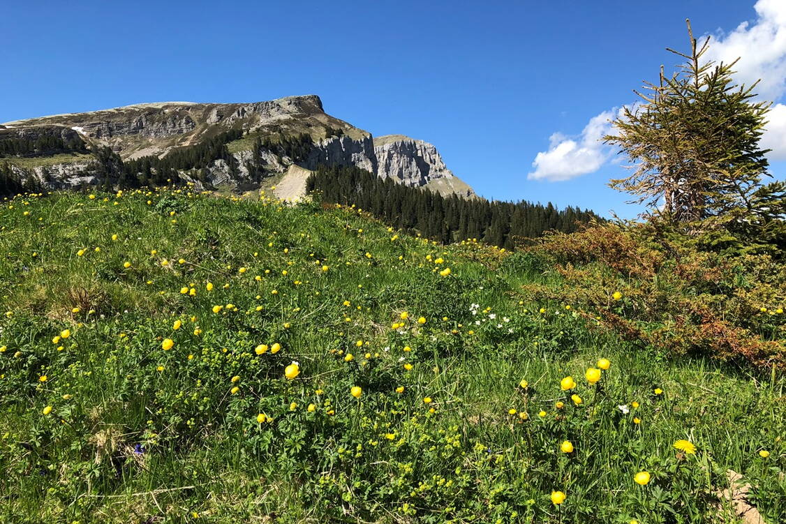 Zoom: Panorama Weitwanderung Habkern 