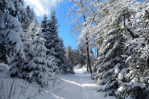 Schneeschuhtouren Jura Haute Route II