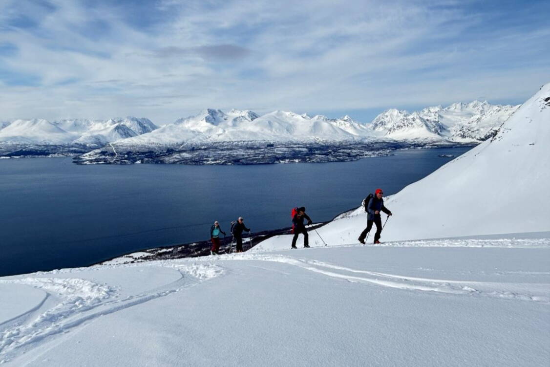 Lyngen Skitouren Zoom: Lyngen Skitouren