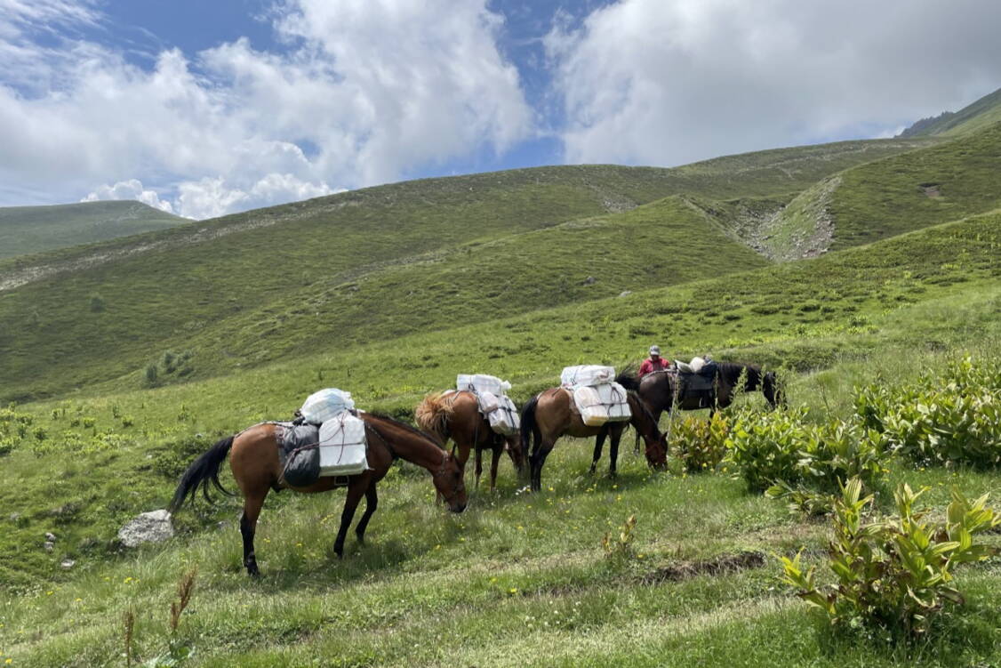 Zoom: Georgine - Trekking im wilden Kaukasus