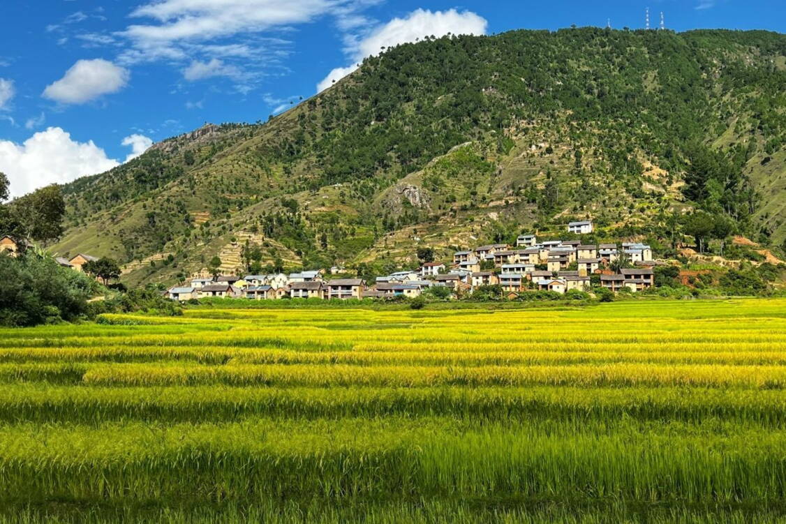 Zoom: Wanderreise Madagaskar