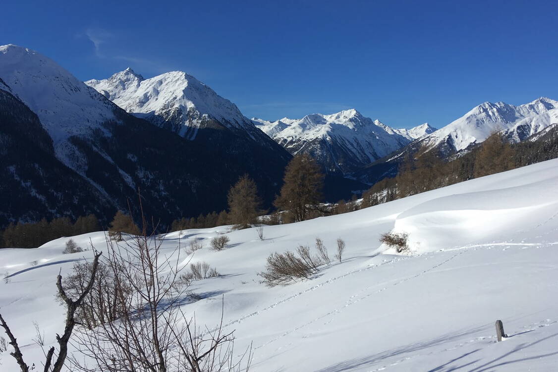 Zoom: Schneeschuhtouren Unterengadin