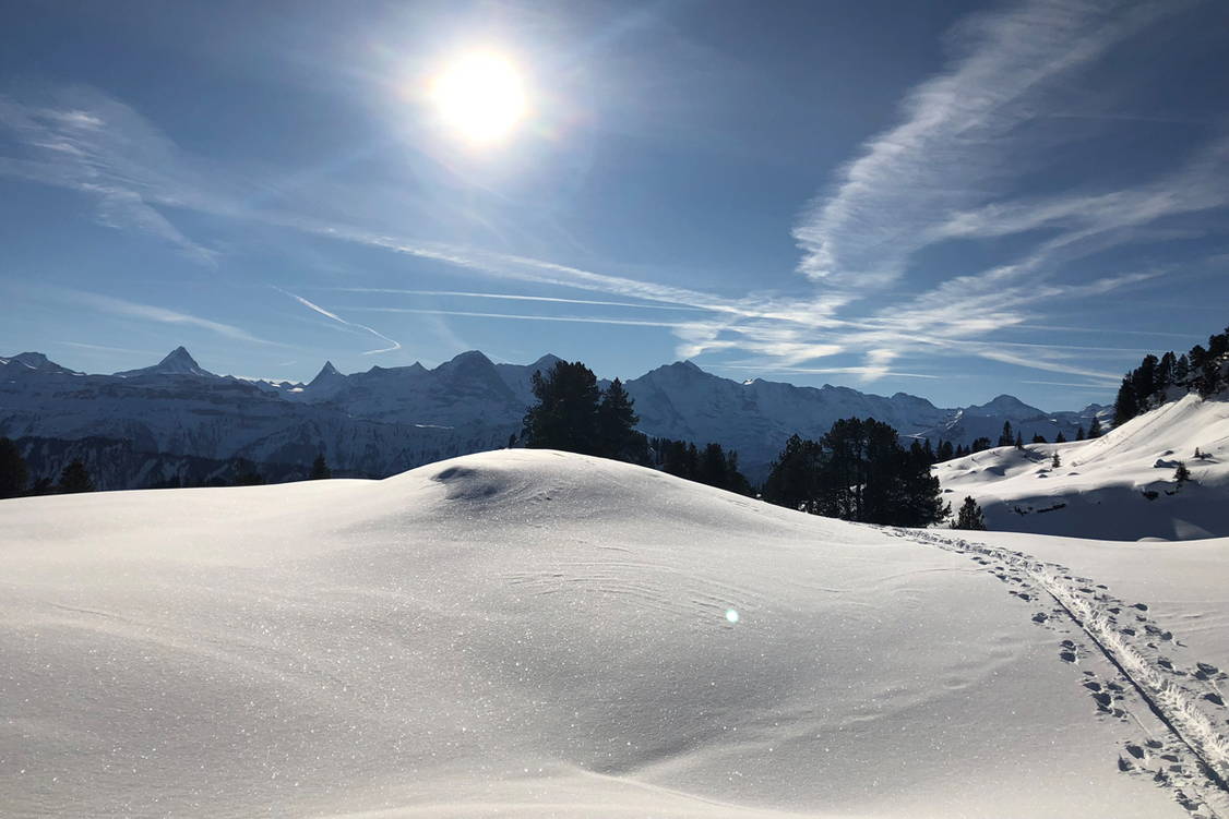 Zoom: Schneeschuhtouren Berner Oberland