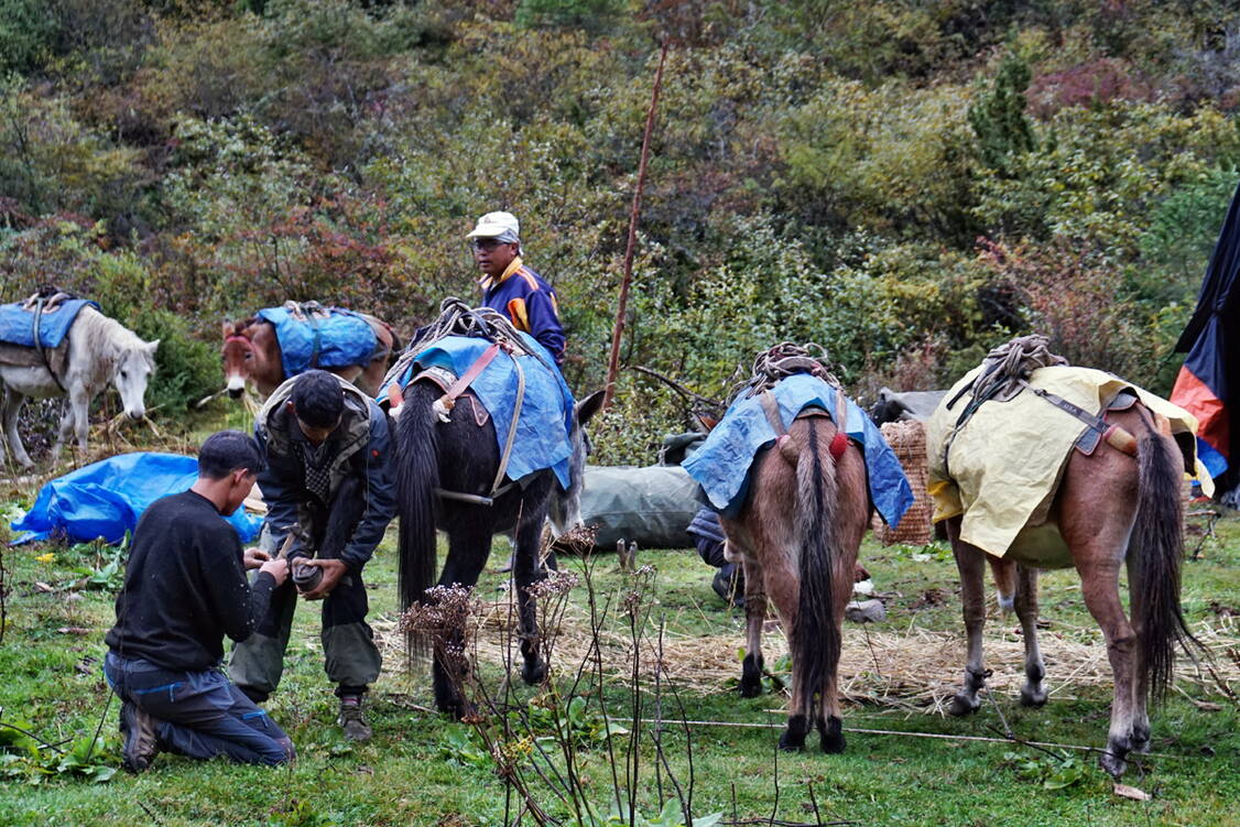 Zoom: Trekkingreise Bhutan