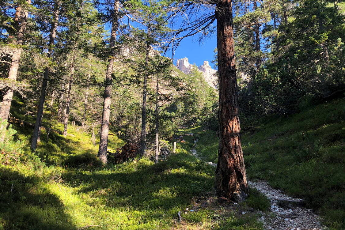 Zoom: Dolomiten Drei-Zinnen-Umrundung