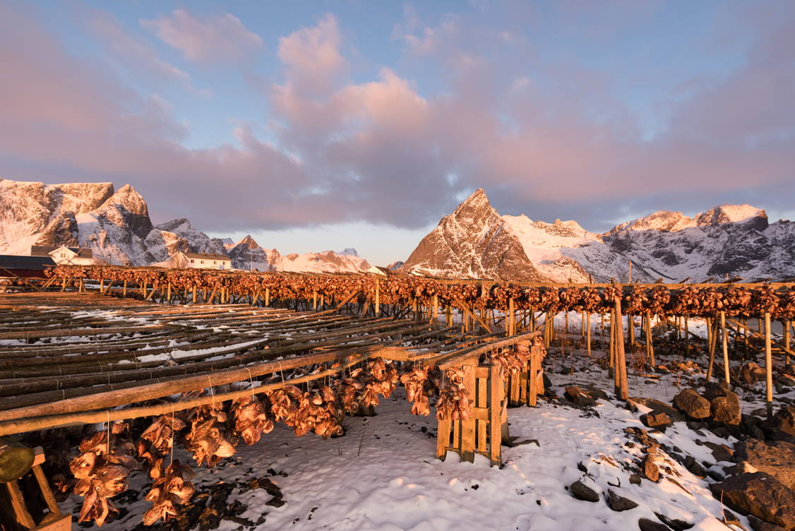 Zoom: Lofoten Schneeschuhtouren