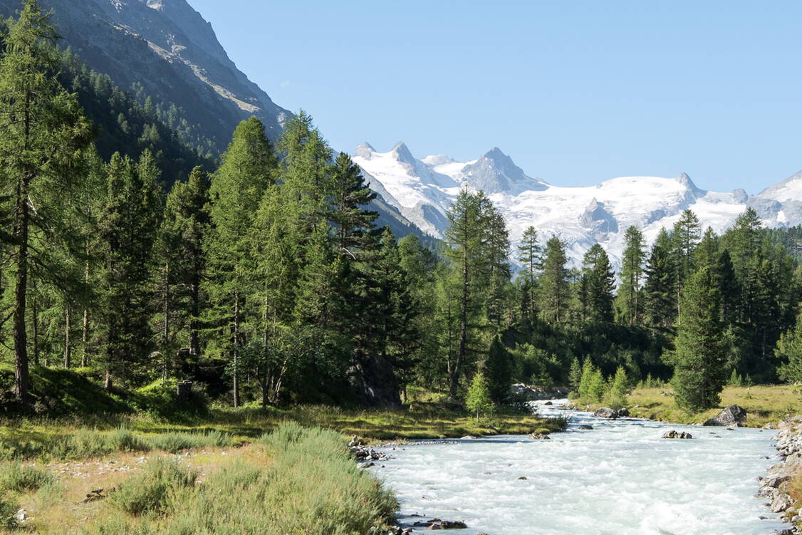 Zoom: panorama_weitwanderung_bernina_8.jpg