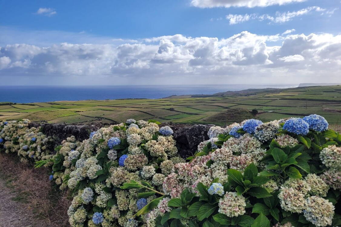 Zoom: Wanderreise Terciera, Graciosa, Flores und Corvo