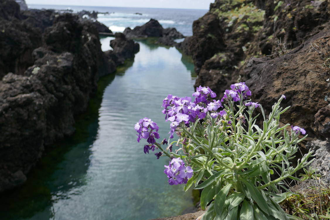 Zoom: Madeira Wanderreise