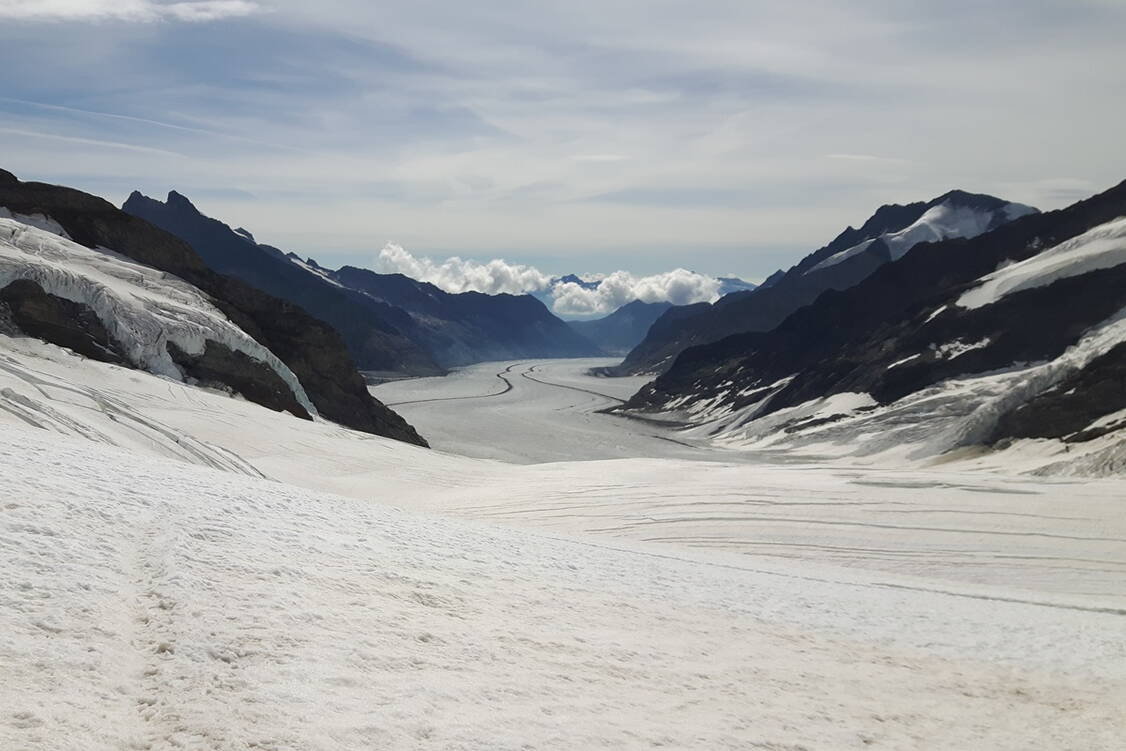 Zoom: Gletscher-Trekking Junfrau-Aletsch