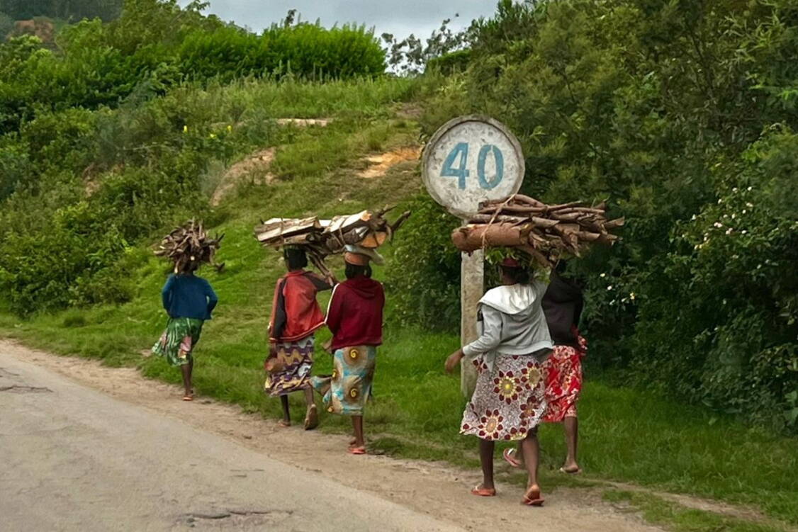 Zoom: Wanderreise Madagaskar