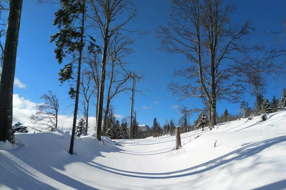 Schneeschuhtouren Jura Haute Route II