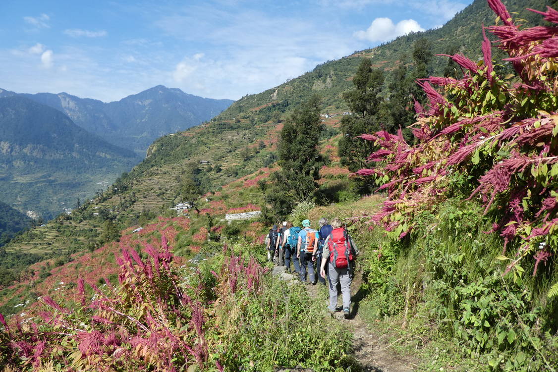 Zoom: Garhwal Himal Trekkingreise