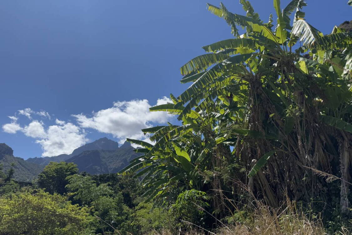 Zoom: Wanderreise La Réunion