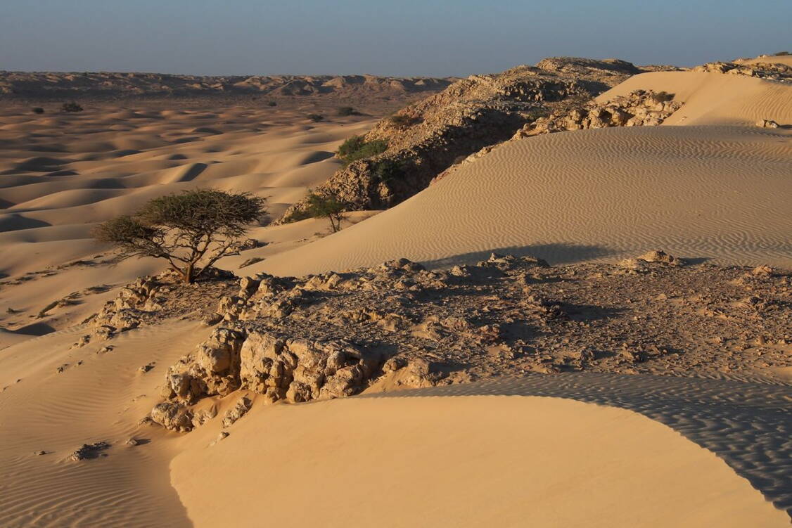 Zoom: Oman Wanderreise