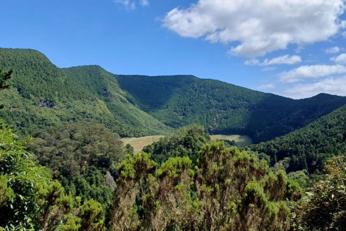 Zoom: Wanderreise Terciera, Graciosa, Flores und Corvo